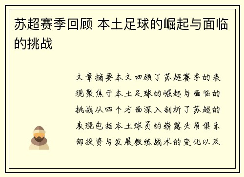 苏超赛季回顾 本土足球的崛起与面临的挑战