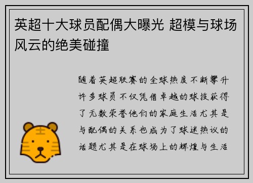 英超十大球员配偶大曝光 超模与球场风云的绝美碰撞